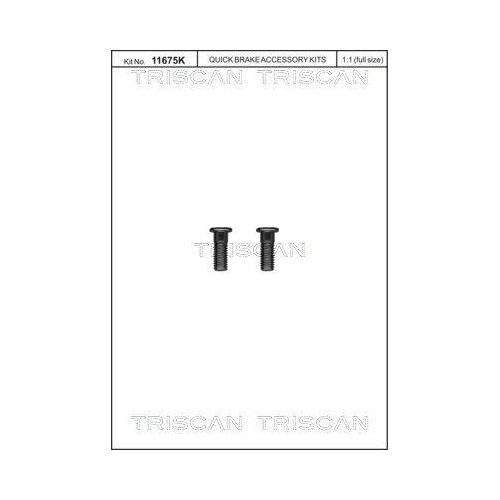 TRISCAN Schraubensatz, Bremsscheibe
