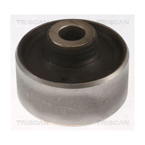 TRISCAN Lagerung, Lenker