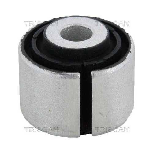 TRISCAN Lagerung, Lenker