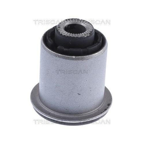 TRISCAN Lagerung, Lenker