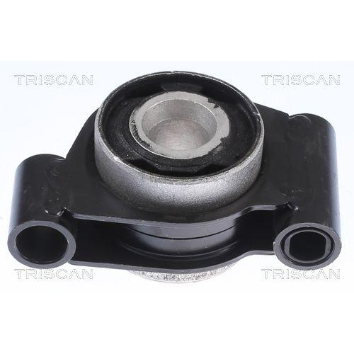 TRISCAN Lagerung, Lenker