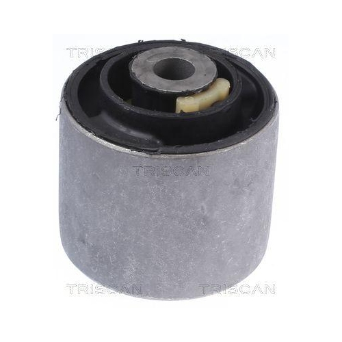 TRISCAN Lagerung, Lenker