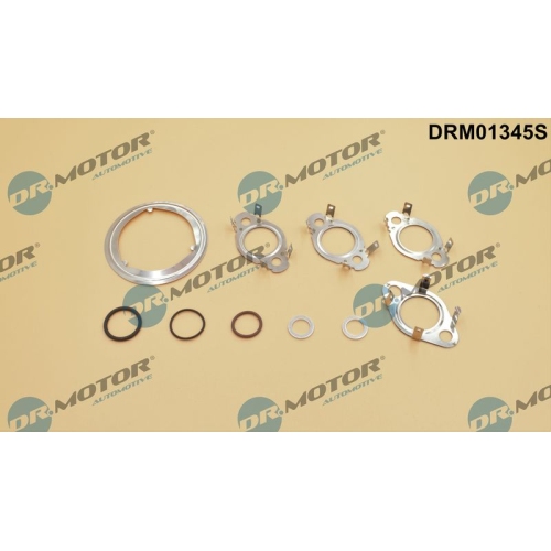 Dr.Motor Automotive Dichtungssatz, AGR-System