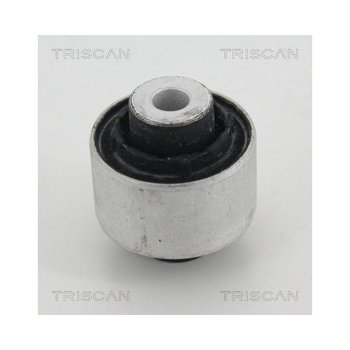 TRISCAN Lagerung, Lenker