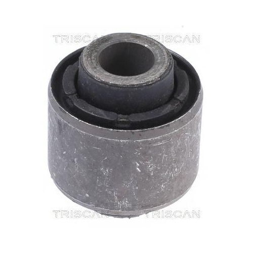 TRISCAN Lagerung, Lenker