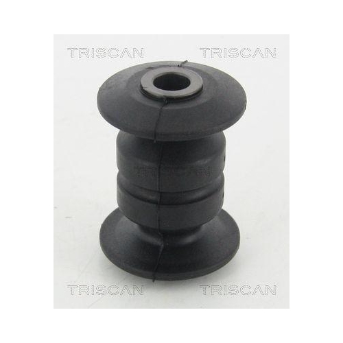 TRISCAN Lagerung, Lenker