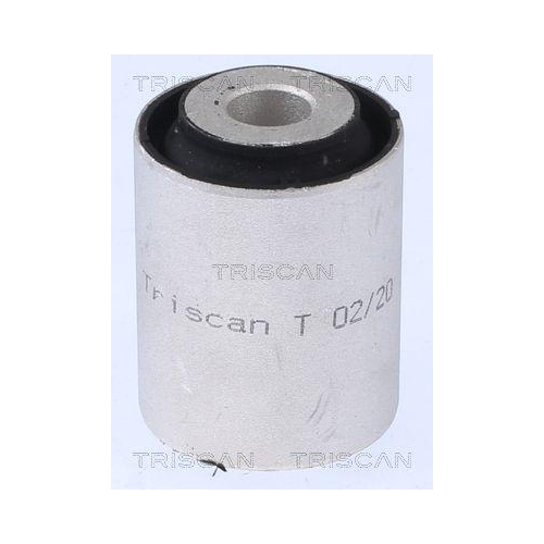 TRISCAN Lagerung, Lenker