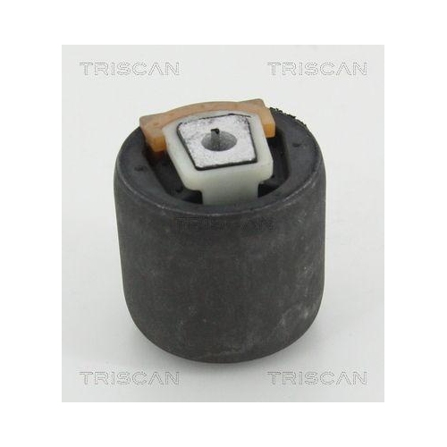 TRISCAN Lagerung, Lenker