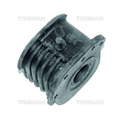 TRISCAN Lagerung, Lenker