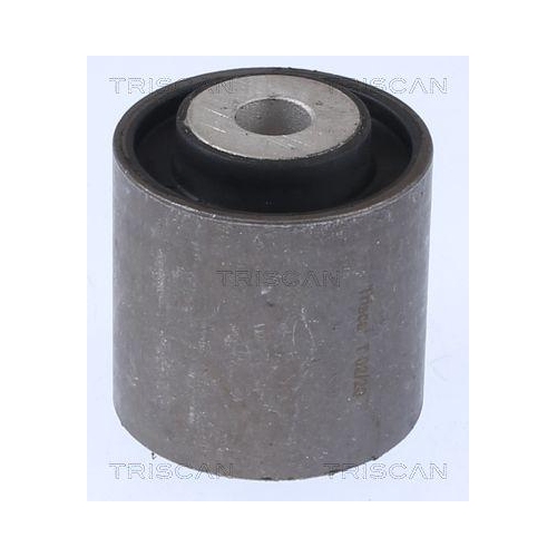 TRISCAN Lagerung, Lenker