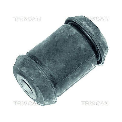 TRISCAN Lagerung, Lenker