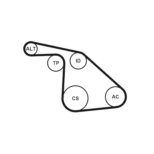 CONTINENTAL CTAM Keilrippenriemensatz