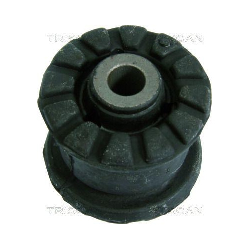 TRISCAN Lagerung, Lenker