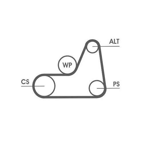 CONTINENTAL CTAM Keilrippenriemen