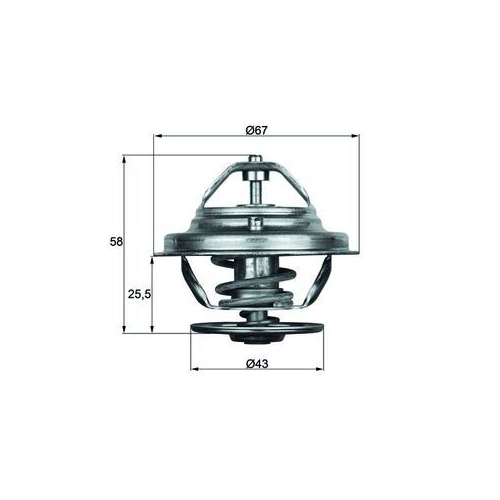 MAHLE Thermostat, Kühlmittel BEHR