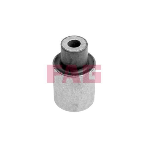 Schaeffler FAG Lagerung, Lenker