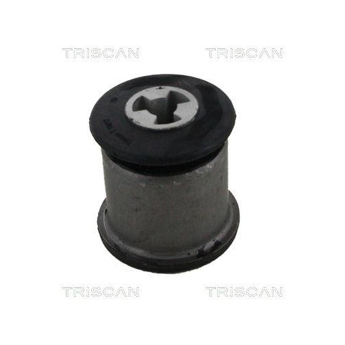 TRISCAN Lagerung, Lenker