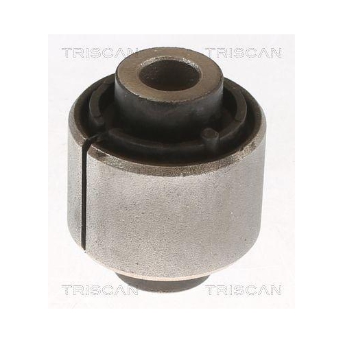 TRISCAN Lagerung, Lenker