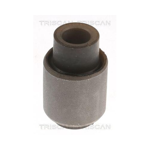 TRISCAN Lagerung, Lenker