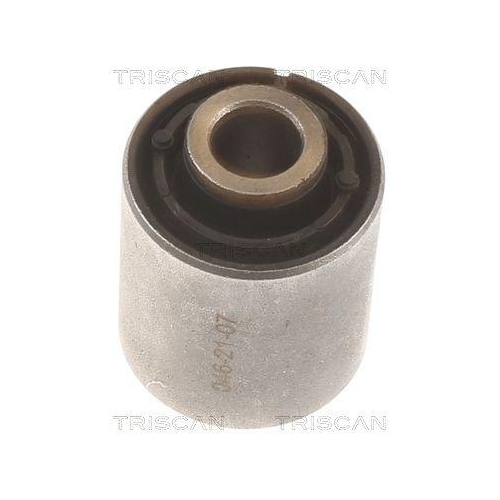 TRISCAN Lagerung, Lenker