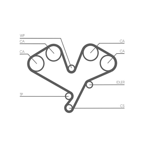 CONTINENTAL CTAM Zahnriemen