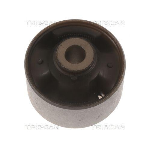 TRISCAN Lagerung, Lenker