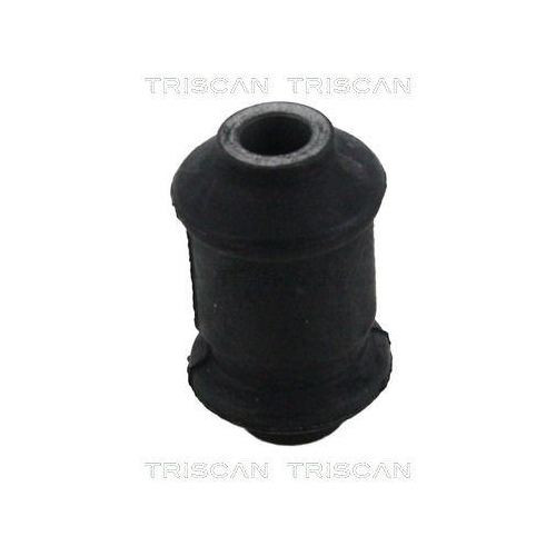 TRISCAN Lagerung, Lenker