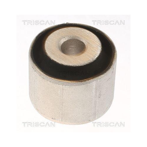 TRISCAN Lagerung, Lenker