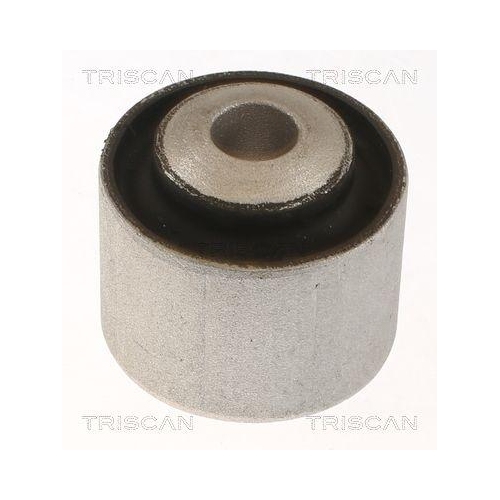 TRISCAN Lagerung, Lenker