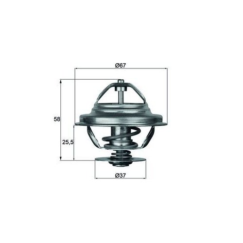 MAHLE Thermostat, Kühlmittel BEHR