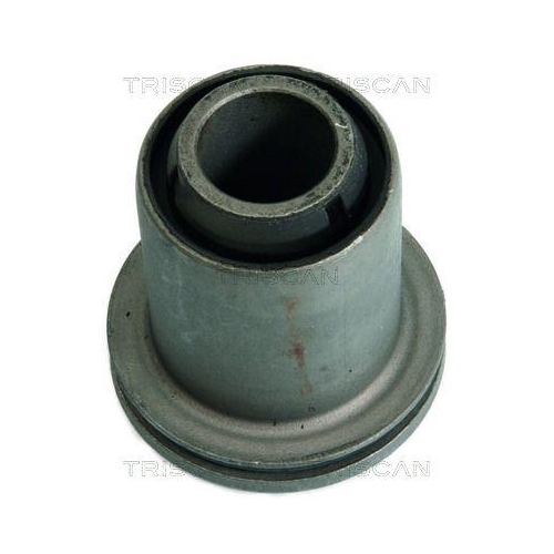 TRISCAN Lagerung, Lenker