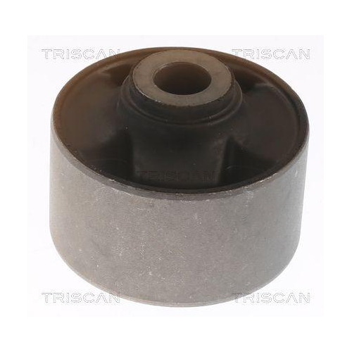 TRISCAN Lagerung, Lenker