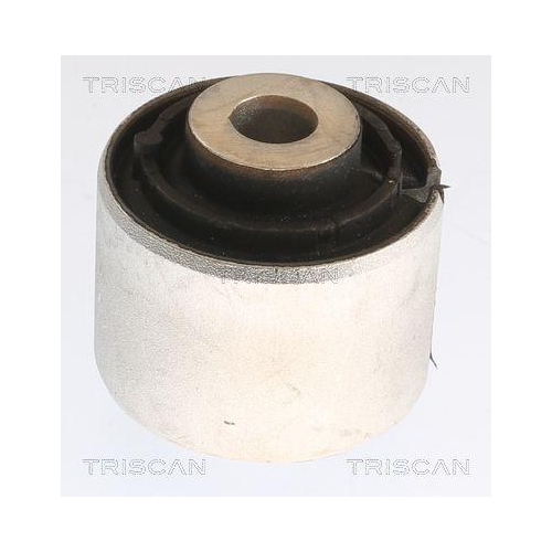 TRISCAN Lagerung, Lenker