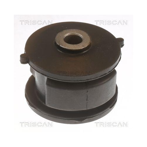 TRISCAN Lagerung, Lenker