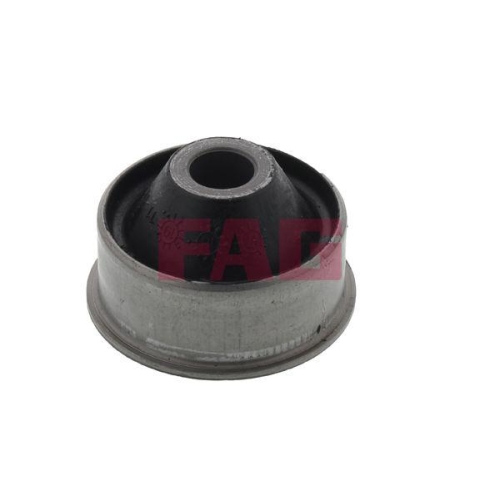 Schaeffler FAG Lagerung, Lenker