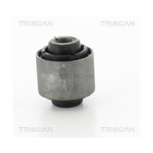 TRISCAN Lagerung, Lenker