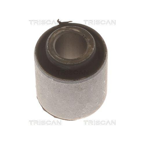 TRISCAN Lagerung, Lenker