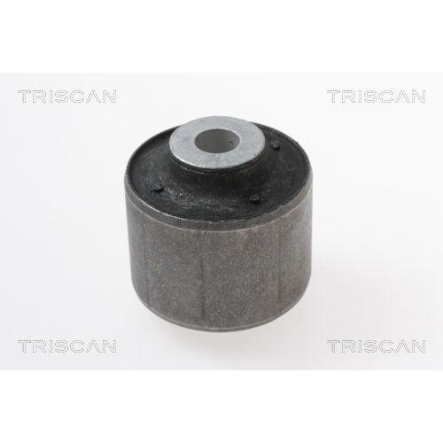 TRISCAN Lagerung, Lenker