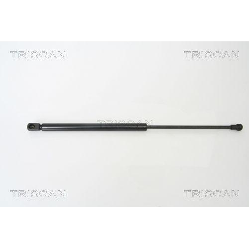 TRISCAN Gasfeder, Koffer-/Laderaum