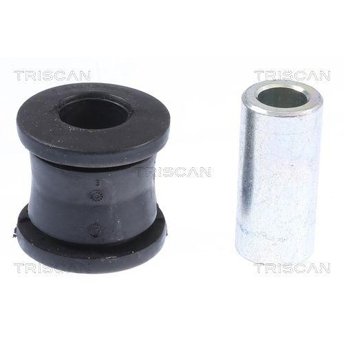 TRISCAN Lagerung, Lenker