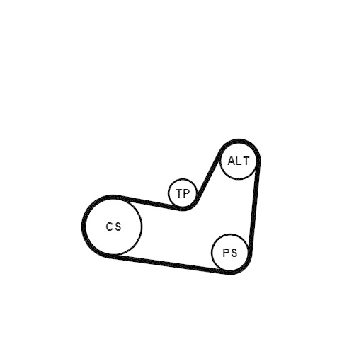 CONTINENTAL CTAM Keilrippenriemensatz