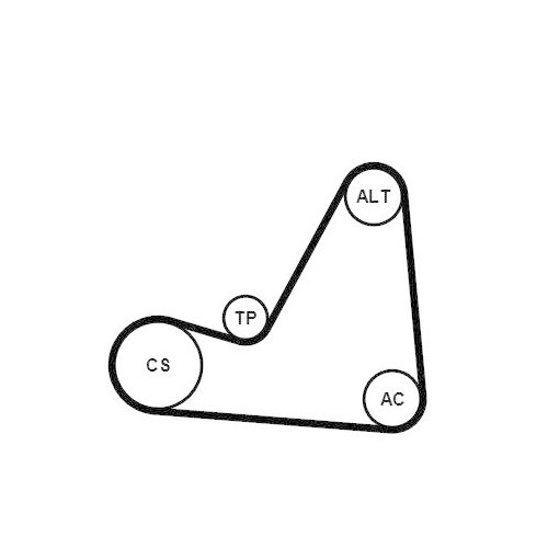 CONTINENTAL CTAM Keilrippenriemensatz