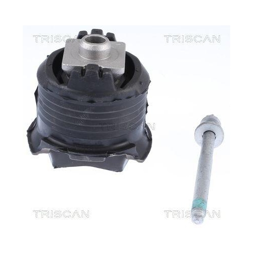 TRISCAN Reparatursatz, Querlenker