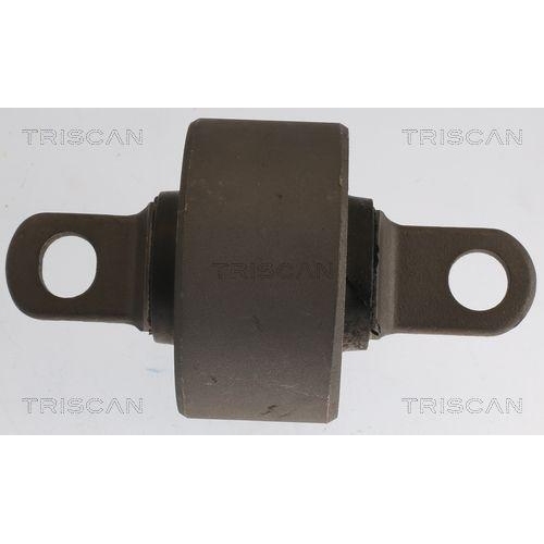 TRISCAN Lagerung, Lenker