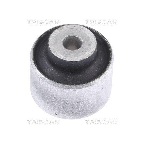 TRISCAN Lagerung, Lenker