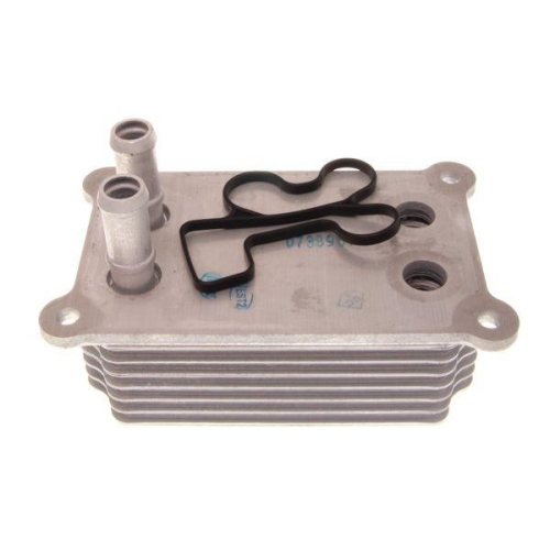 MAXGEAR Ölkühler, Motoröl