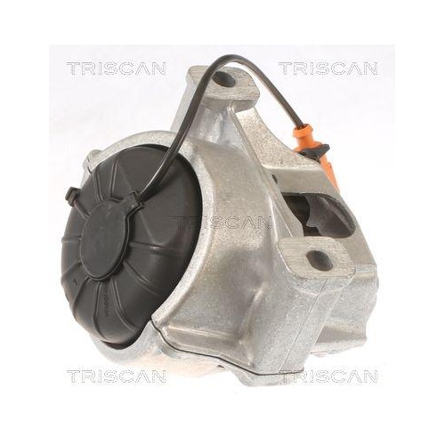 TRISCAN Lagerung, Motor