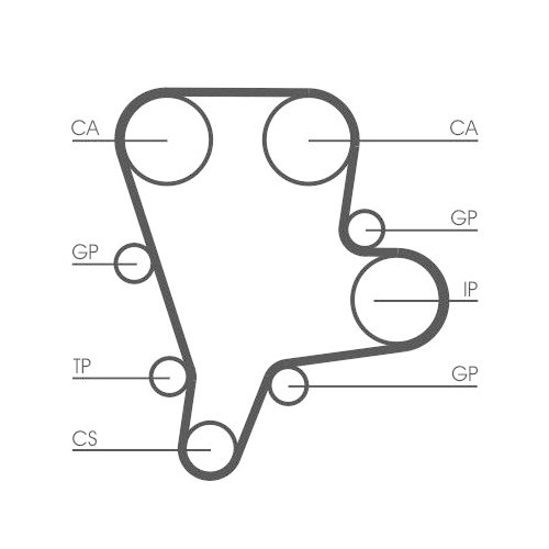CONTINENTAL CTAM Zahnriemen