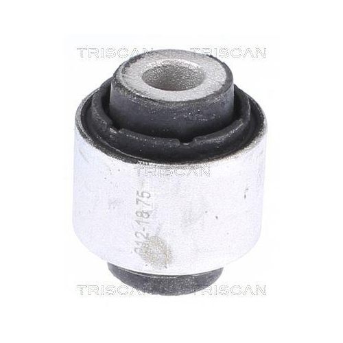 TRISCAN Lagerung, Lenker