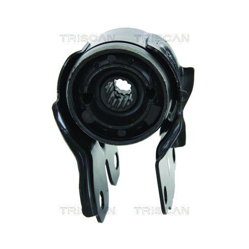 TRISCAN Lagerung, Lenker